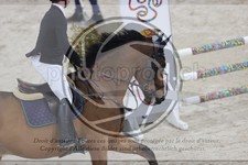 ref. photo 3411643