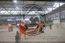 ref. photo 3411673