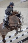 ref. photo 3411689