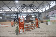 ref. photo 3411720