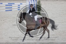 ref. photo 3411725
