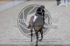 ref. photo 3411732