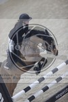 ref. photo 3411769
