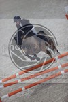 ref. photo 3411771