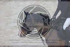 ref. photo 3411774