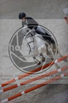ref. photo 3411798