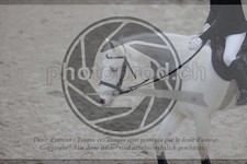 ref. photo 3411802