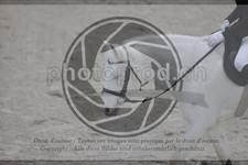 ref. photo 3411803