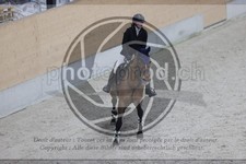 ref. photo 3411828