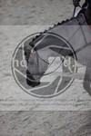 ref. photo 3411850