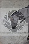 ref. photo 3411851