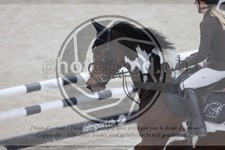 ref. photo 3411852