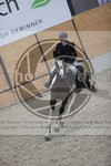 ref. photo 3411853