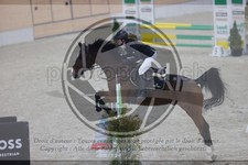 ref. photo 3411902