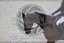 ref. photo 3411909