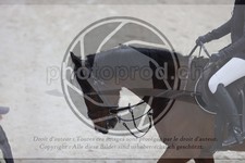 ref. photo 3411910