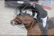 ref. photo 3411925