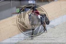 ref. photo 3411949