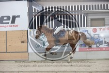 ref. photo 3411956