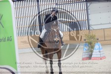 ref. photo 3412063