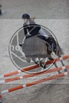 ref. photo 3412072