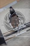 ref. photo 3412076