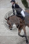 ref. photo 3412080