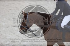 ref. photo 3412086
