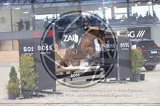 ref. photo 3412113