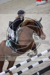 ref. photo 3412121