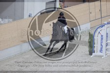 ref. photo 3412167
