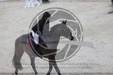 ref. photo 3412184