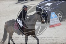 ref. photo 3412185