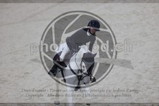 ref. photo 3412214