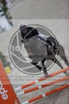 ref. photo 3412258