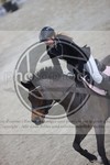 ref. photo 3412259