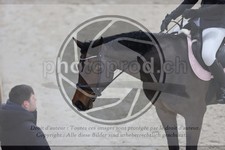ref. photo 3412262