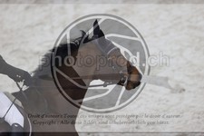 ref. photo 3412284