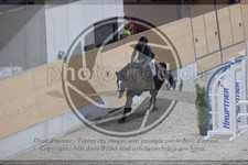ref. photo 3412347
