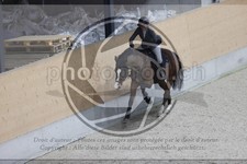 ref. photo 3412348