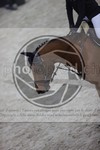 ref. photo 3412437