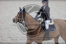 ref. photo 3412441