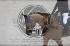 ref. photo 3412442