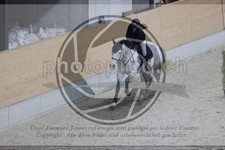 ref. photo 3412457