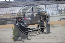 ref. photo 3412501