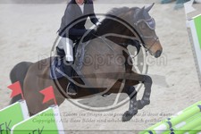 ref. photo 3412503