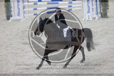 ref. photo 3412505