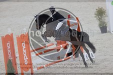 ref. photo 3412506