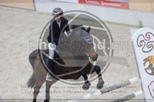 ref. photo 3412508