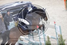 ref. photo 3412509